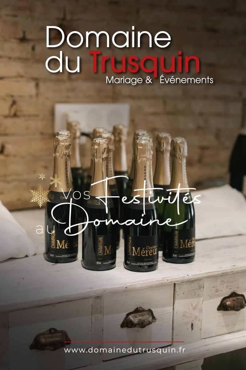 festivites-hiver-domaine-trusquin-mariage-hiver-evenement-entreprise-decembre-noel-domaine-trusquin-pierrelatte